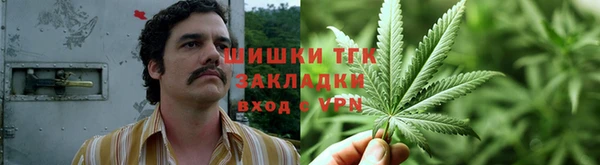трава Надым