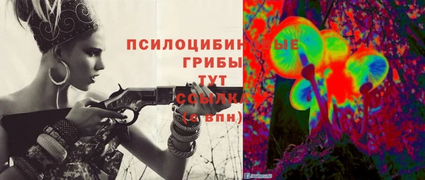 трава Надым