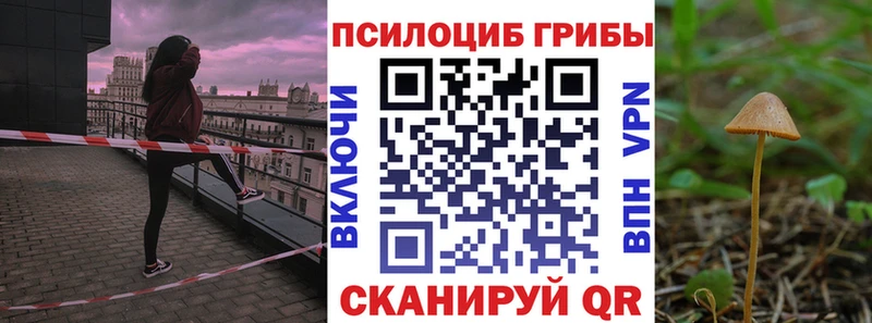 Псилоцибиновые грибы ЛСД  наркошоп  Артём 